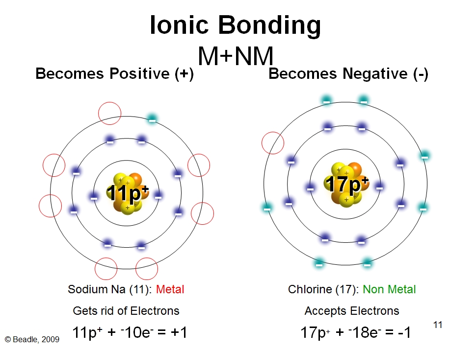 where does metal ion bonding occur